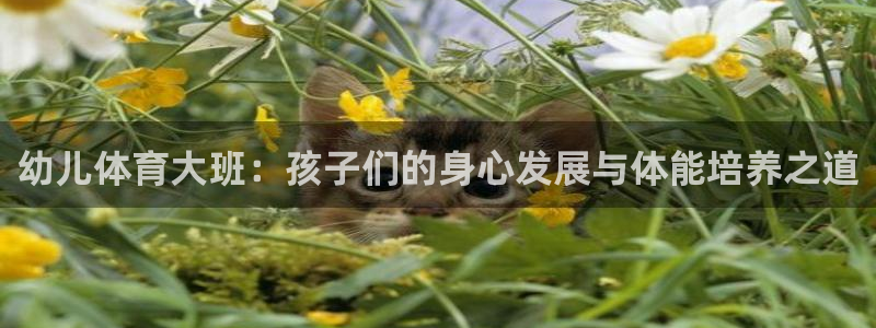 绿茵足球