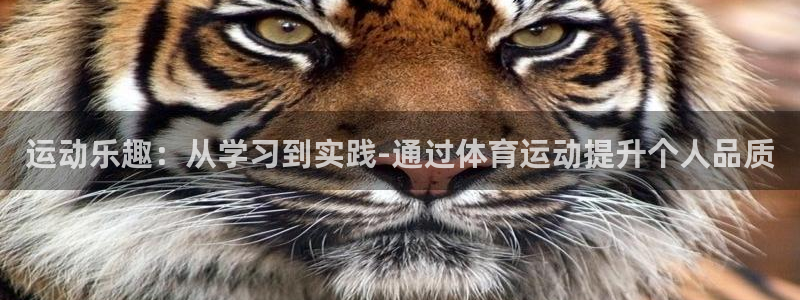 绿茵足球直播：运动乐趣：从学习到实践-通过体育运动提升个人品质