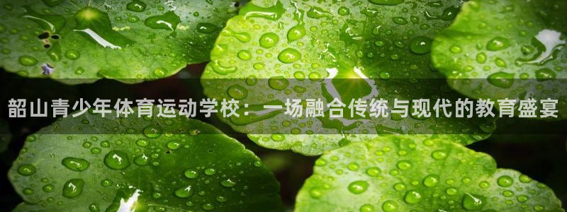 绿茵直播体育