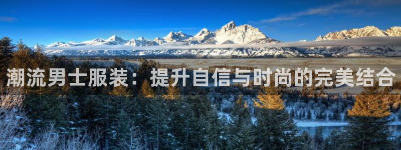 绿茵足球直播在线观看