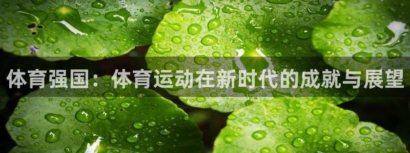 绿茵体育直播9939