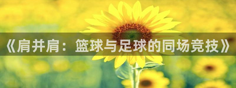 绿茵体育官网入口