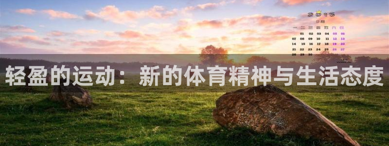 天津绿茵体育公司