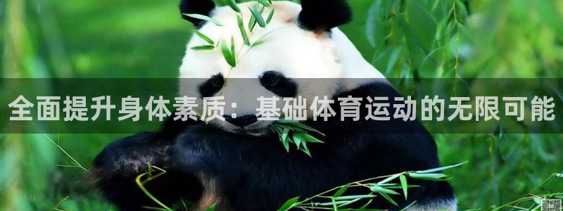 绿茵体育在线高清直播观看：全面提升身体素质：基础体育运动的无限可能