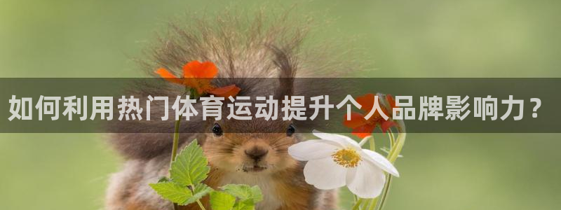 天津绿茵体育公司