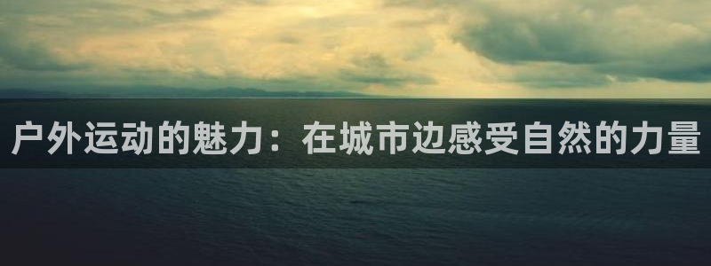 绿茵nba直播在线观看