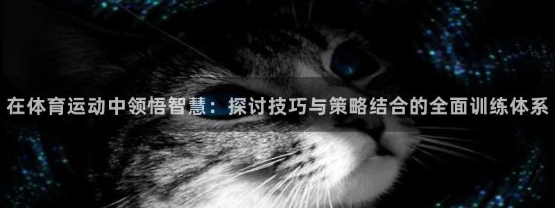 绿茵体育免费观看：在体育运动中领悟智慧：探讨技巧与策略结合的全面训练体系